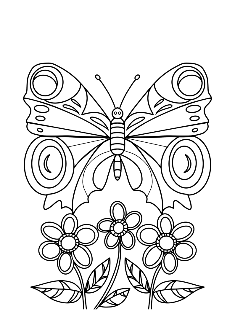 motyl rusałka pawik kolorowanka